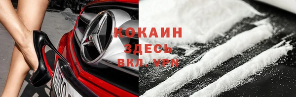 стафф Михайлов