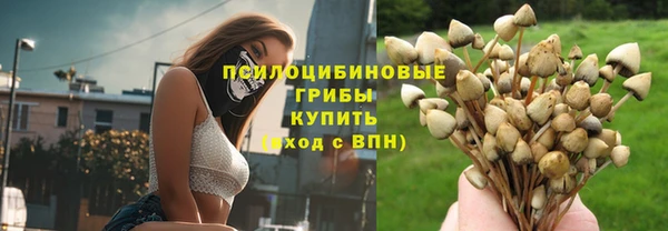 стафф Михайлов