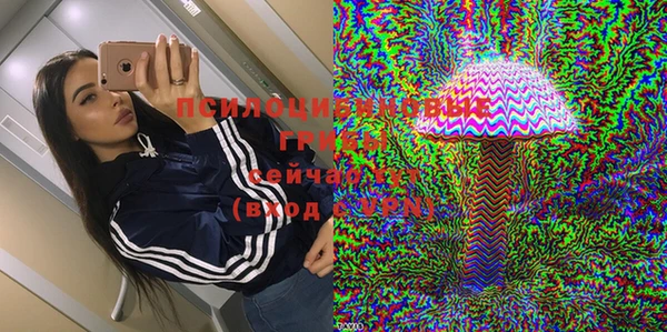 дурь Михайловск