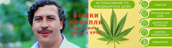 дурь Михайловск