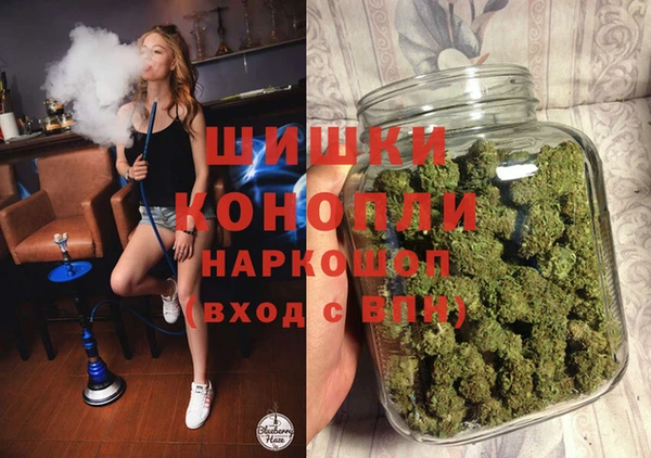 стафф Михайлов