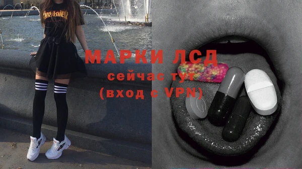стаф Зерноград