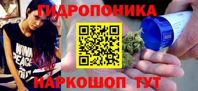 индика Азнакаево