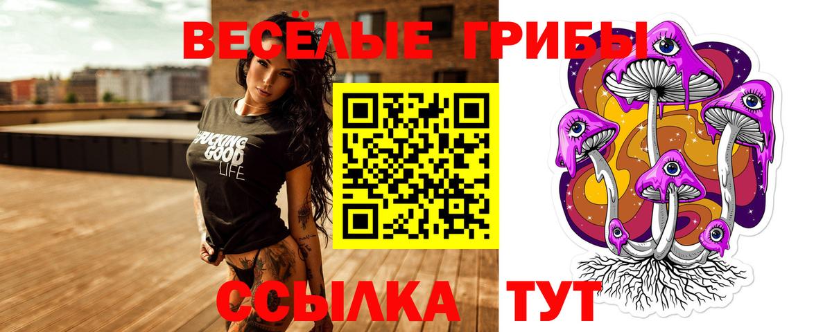 Галлюциногенные грибы GOLDEN TEACHER Звенигород
